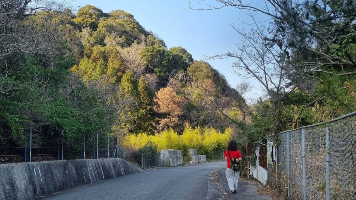 Search for the Forest (Higashibata) Search for the Forest (Higashibata)