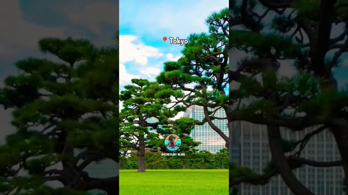 Shibuya Sky 🌁 #bucketlist #travel #tourism #vacation #explore #japan2023  #japan #shorts #tokyo