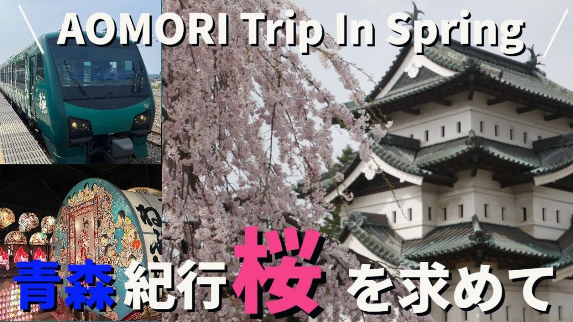 AOMORI trip | Looking For Sakura in Spring AOMORI trip | Looking For Sakura in Spring