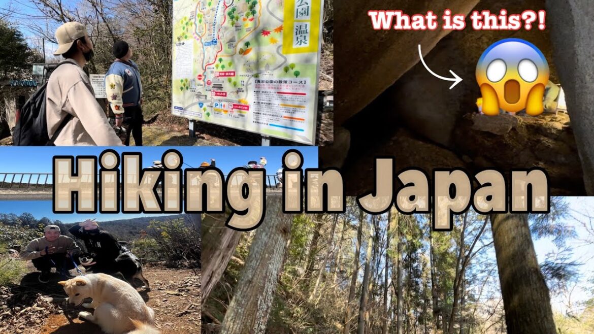 Hiking in Japan | unexpected trails + there’s something in the cave!😨