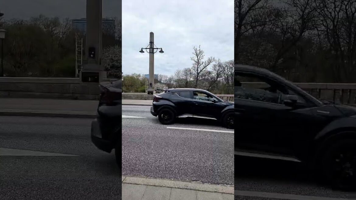 #city #canal #malmö #shorts