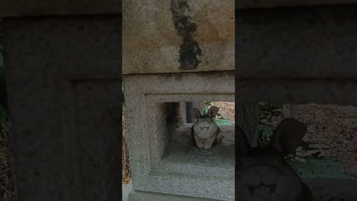 Japan, Nagoya, Osu Kannon Temple.