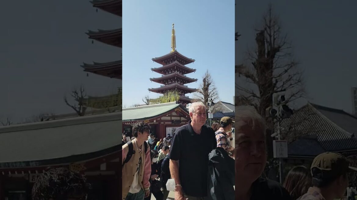 #kyoto #japan #japantravel #short #ytshort