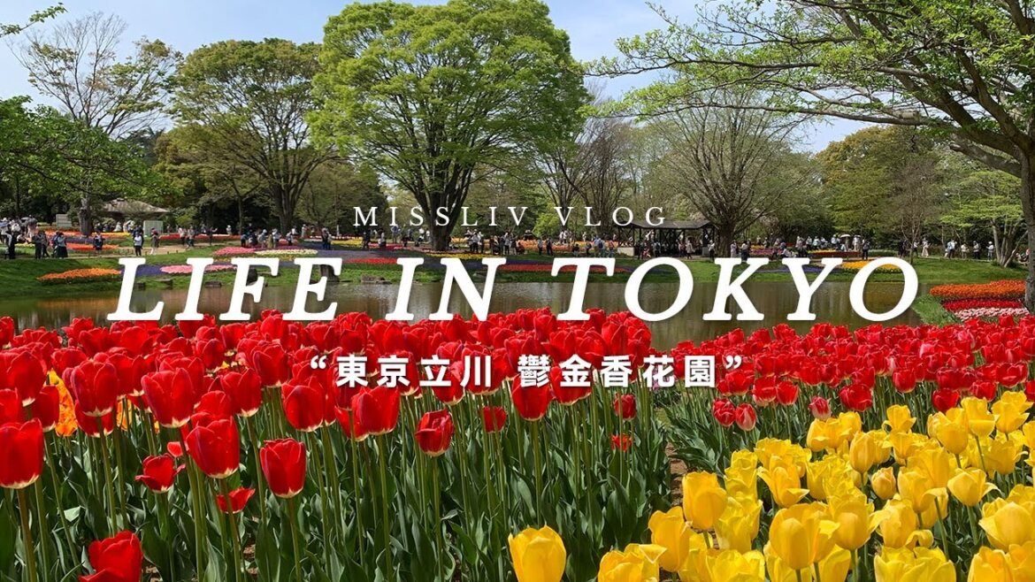 【東京生活日常】搭上電車到荷蘭|昭和紀念公園 鬱金香盛開|立川站好好逛|日本vlog 【東京生活日常】搭上電車到荷蘭|昭和紀念公園 鬱金香盛開|立川站好好逛|日本vlog