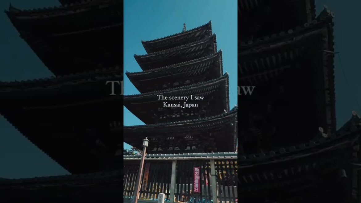 #short #japan #japanese #shorts #travel #vacation #explore #globetrotter #monde #voyage #short #japan #japanese #shorts #travel #vacation #explore #globetrotter #monde #voyage