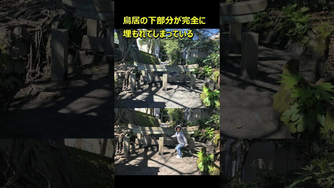 2023年・桜島ビュー60秒 #Shorts  #桜島 #sakurajima