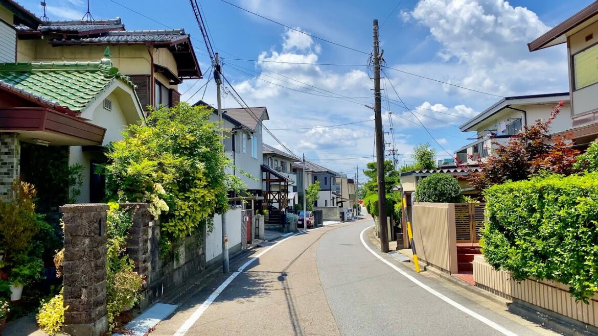4K Japan Walk - Modern Japanese Houses | Neighborhood Walking Tour in Nisshin City, Aichi 17/6/21 #3