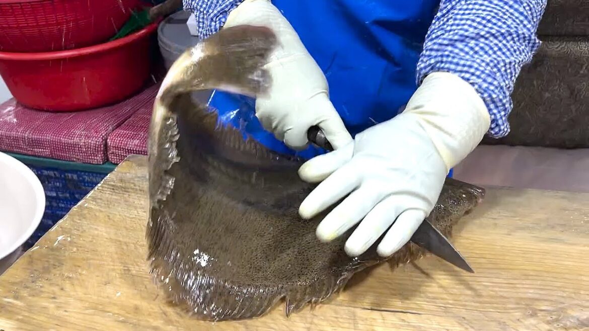 street food asmr food fish cutting korean food asian seafood korea sashimi making video 061022 2 street food asmr food fish cutting korean food asian seafood korea sashimi making video 061022 2