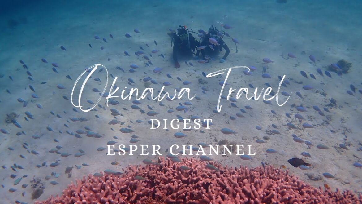 【観光地紹介】Okinawa Travel Part1【ダイジェスト版】 【観光地紹介】Okinawa Travel Part1【ダイジェスト版】