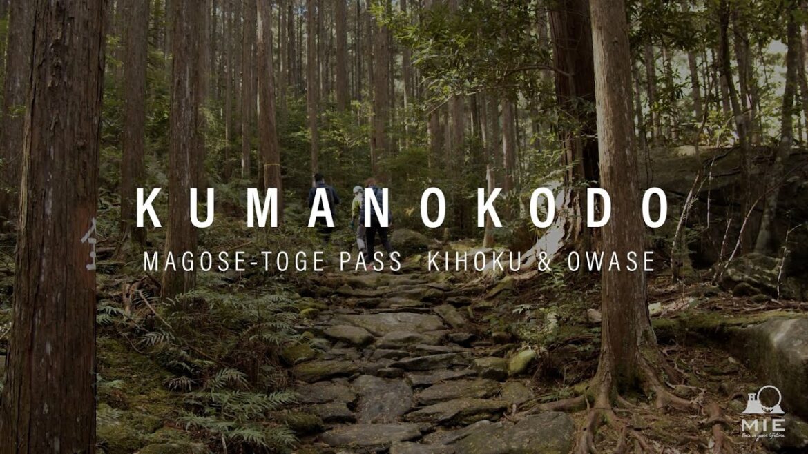 Kumanokodo Magose-toge Pass - KIHOKU & OWASE