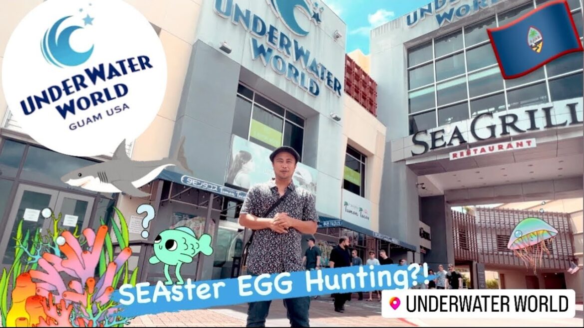 Guam's Underwater World SEAster Event 🇬🇺 | 🐟 Underwater Egg Hunt?!😬🦈