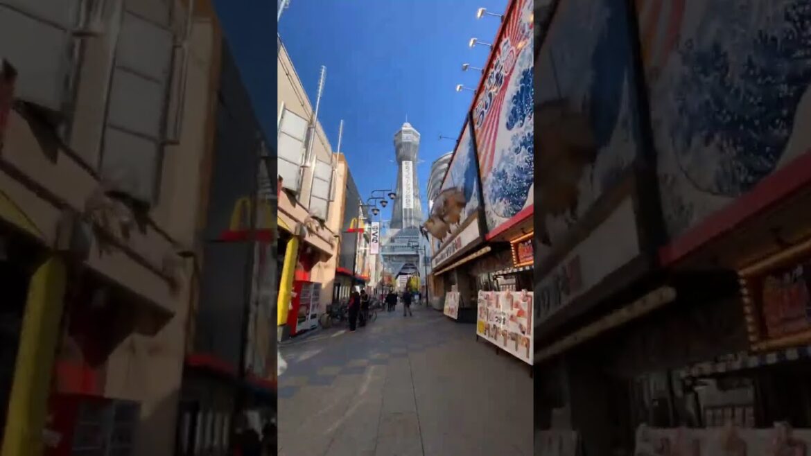 #short #japan #japanese #shorts #travel #vacation #explore #globetrotter #monde #voyage