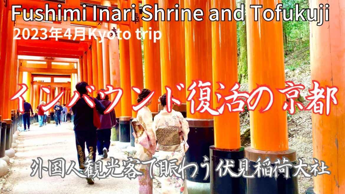 外国人観光客で賑わう伏見稲荷大社、ひっそり静寂な東福寺を散策『Kyoto trip』