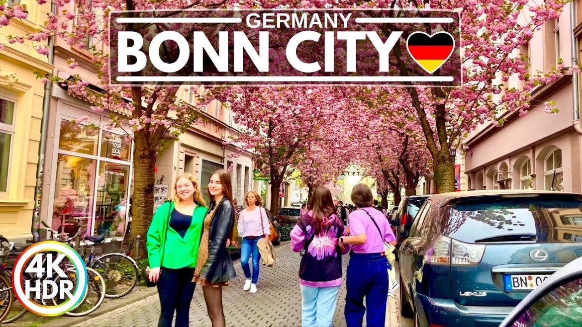 Bonn in Bloom, Exploring Beethoven City's Famous Cherry Blossoms on Foot - 4K-HDR Walking Tour
