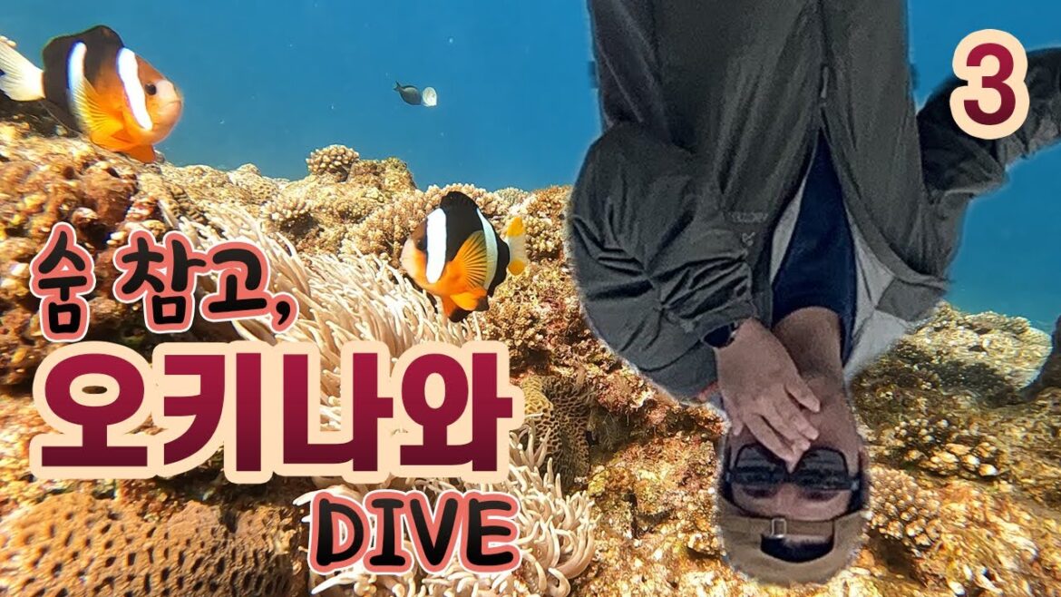 (4K)[OKINAWA TRAVEL 3] 오키나와에서 첫경험... !!!!!