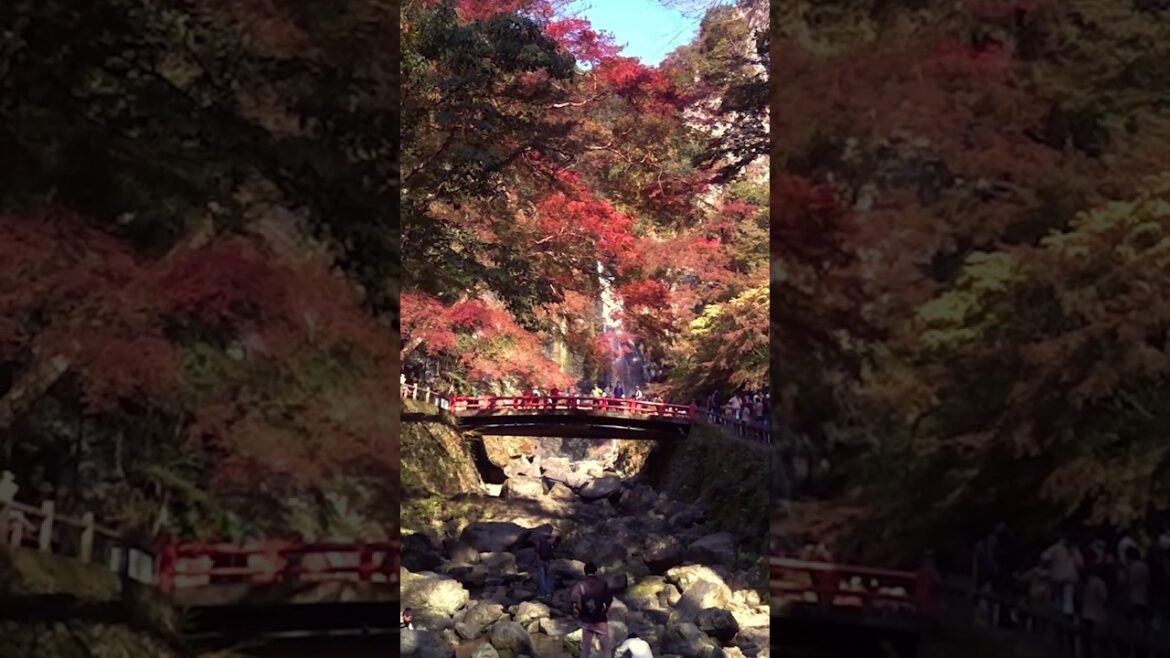 น้ำตก Mino-h Osaka japan เที่ยวโอซาก้า #เที่ยวญี่ปุ่นด้วยตัวเอง #japantravel #japan