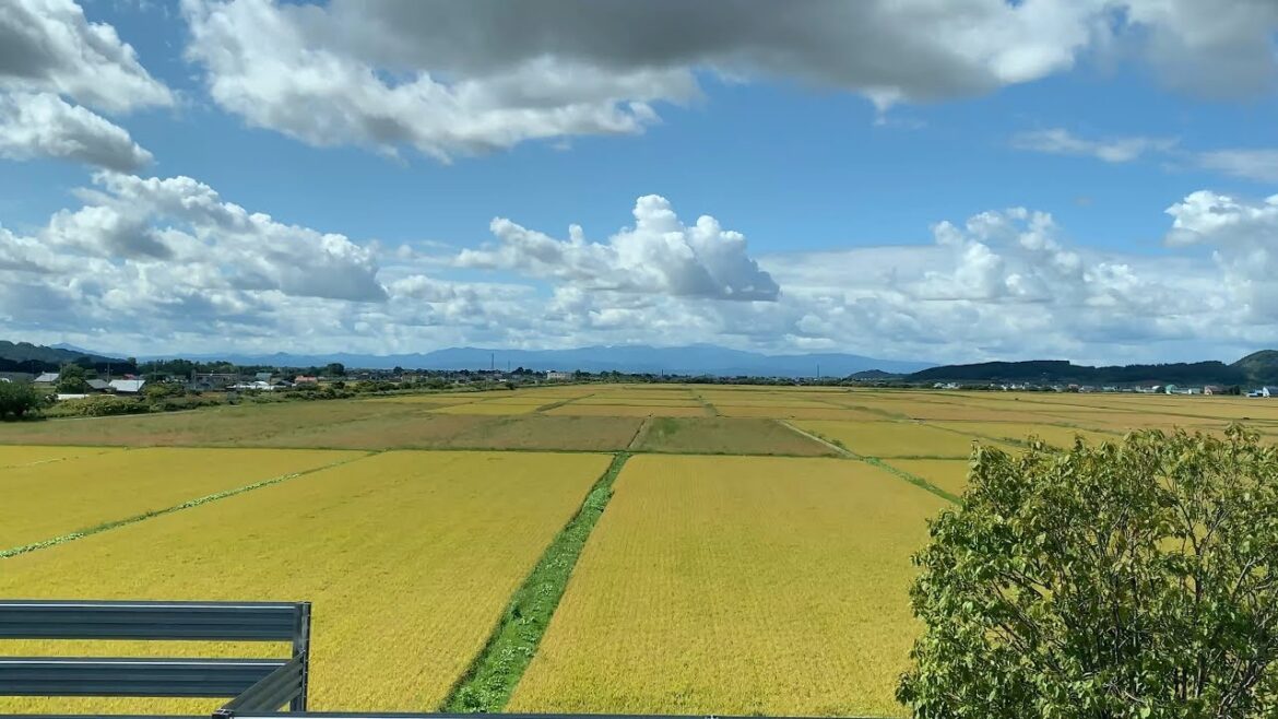 【秋の旅 2019】 #1 いざ、旭川へ！都市間高速バス「高速あさひかわ号」から見た車窓風景 (4K Ultra HD)