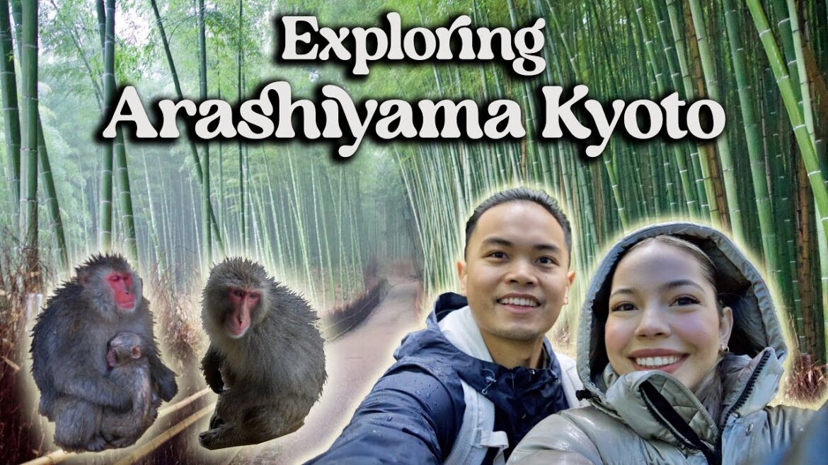 MUST DO & SEE IN KYOTO | ARASHIYAMA Is Unforgettable!