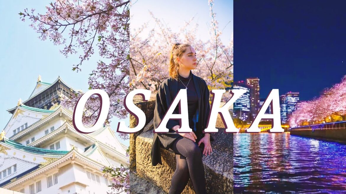 Travel vlog Japan: Osaka Castle & Night Cherry Blossom Cruise Ride π πΈ Travel vlog Japan: Osaka Castle & Night Cherry Blossom Cruise Ride π πΈ