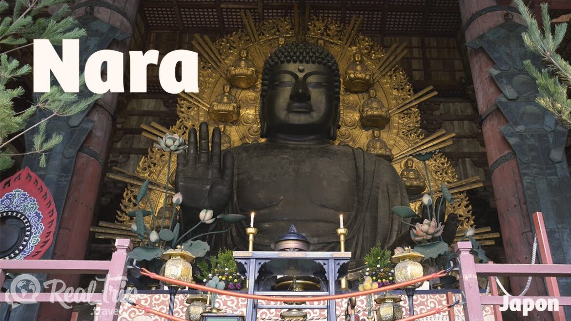 Un día por la ex capital japonesa – Nara Un día por la ex capital japonesa - Nara