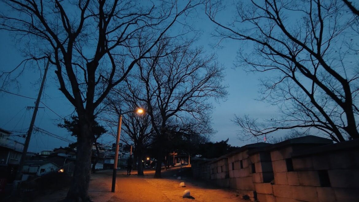 Seoul Walking in The Fortress Wall of Seoul Naksan Park Trail 4K ASMR | Relax City Ambience Sounds Seoul Walking in The Fortress Wall of Seoul Naksan Park Trail 4K ASMR | Relax City Ambience Sounds