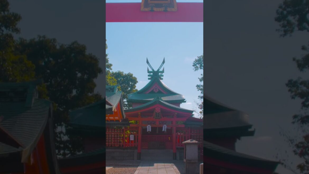 Stunning Shinto Shrine in Kyoto | Amazing Japan Travel Adventure Documentary Stunning Shinto Shrine in Kyoto | Amazing Japan Travel Adventure Documentary