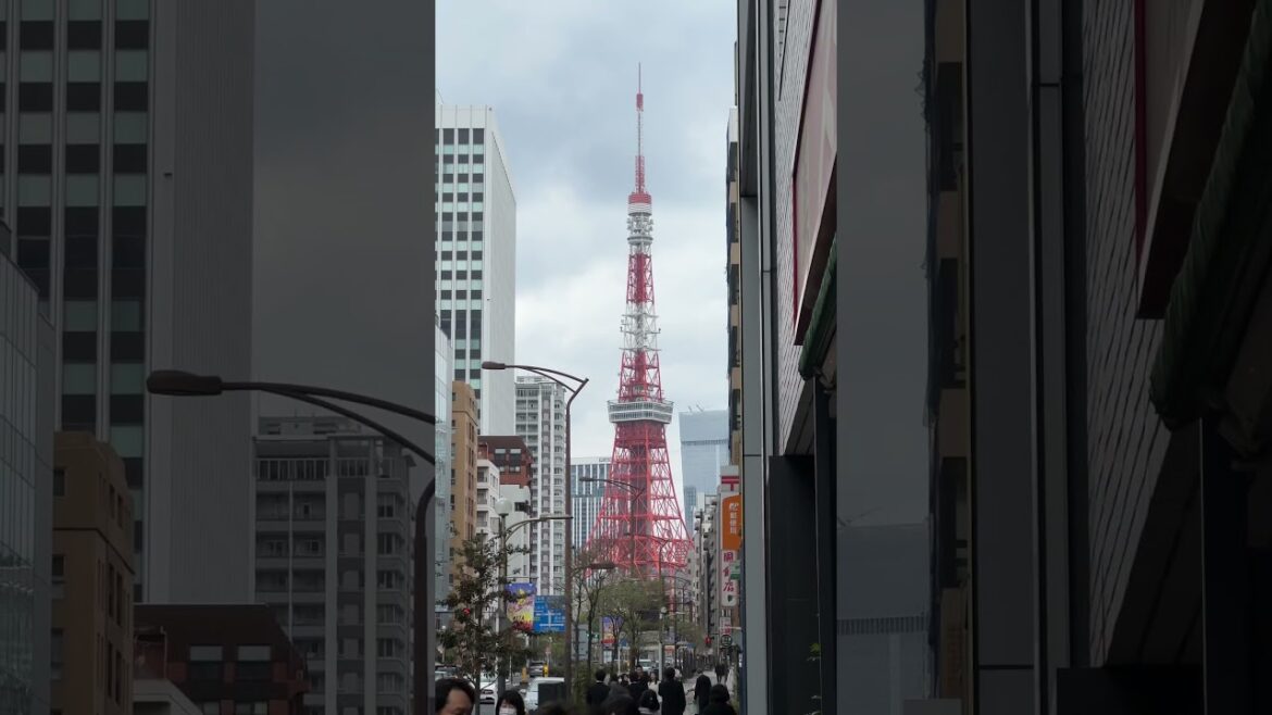 View of Tokyo Tower. #tokyo #travel #trending #japan #explore #2023 #tokyotower #tokyotrip #april