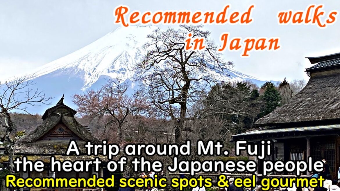 A Journey around Mt.Fuji, Japan's Spiritual Hometown.Introduction of recommended scenic spots