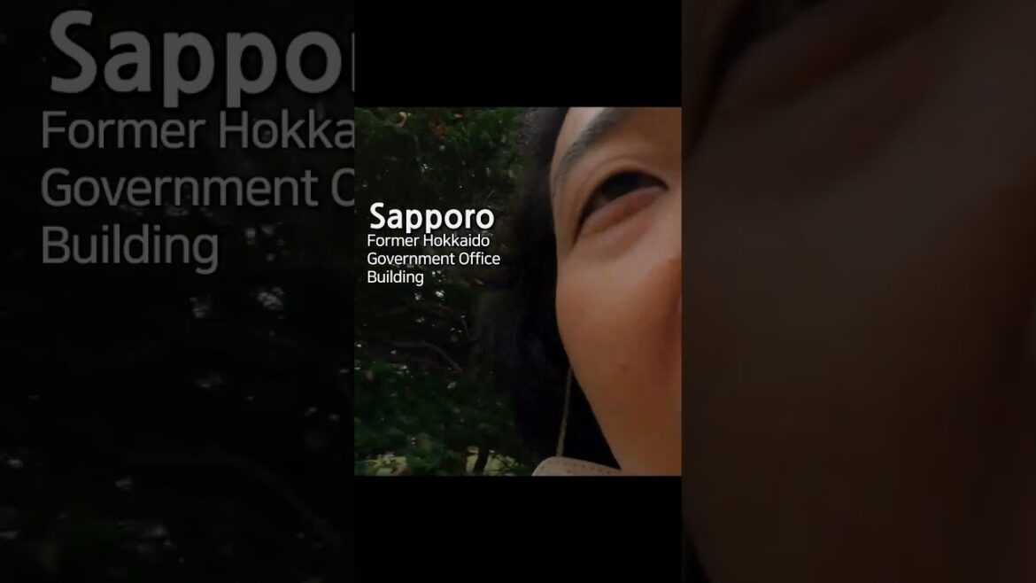 美しい老夫婦の後ろ姿に感動しました