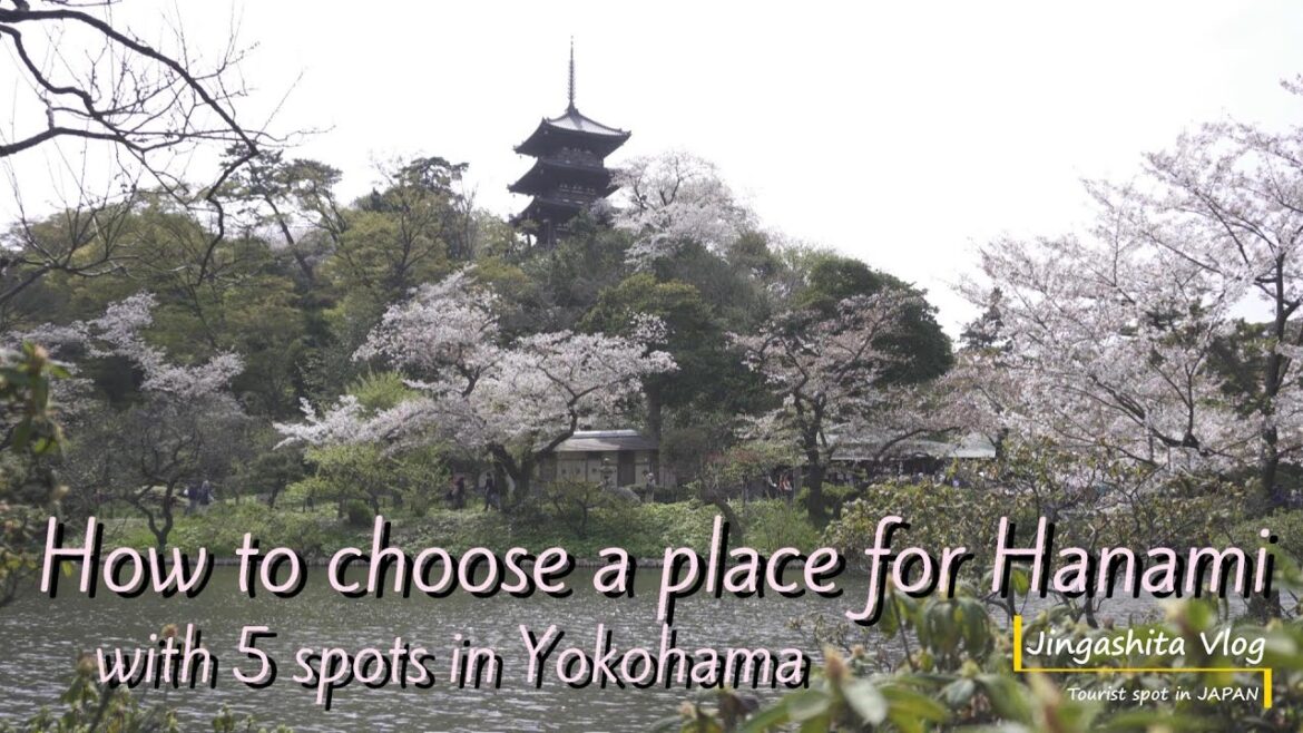 【travel tips】How to choose a place for #Hanami with 5 spots in #Yokohama(横浜の５か所を例にした花見の場所の選び方）