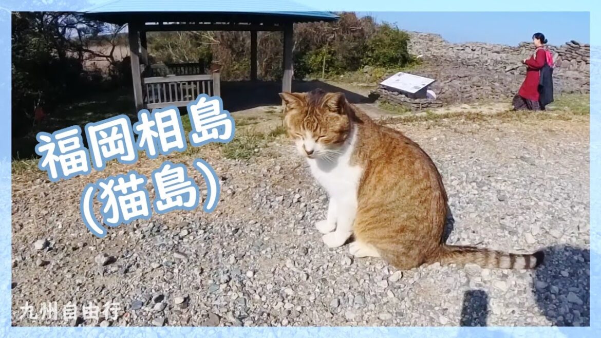 |Vlog|旅遊|2023 3月 日本|九州自由行 福岡相島(貓島) 我在貓島的一天(2/3) |Vlog|旅遊|2023 3月 日本|九州自由行 福岡相島(貓島) 我在貓島的一天(2/3)