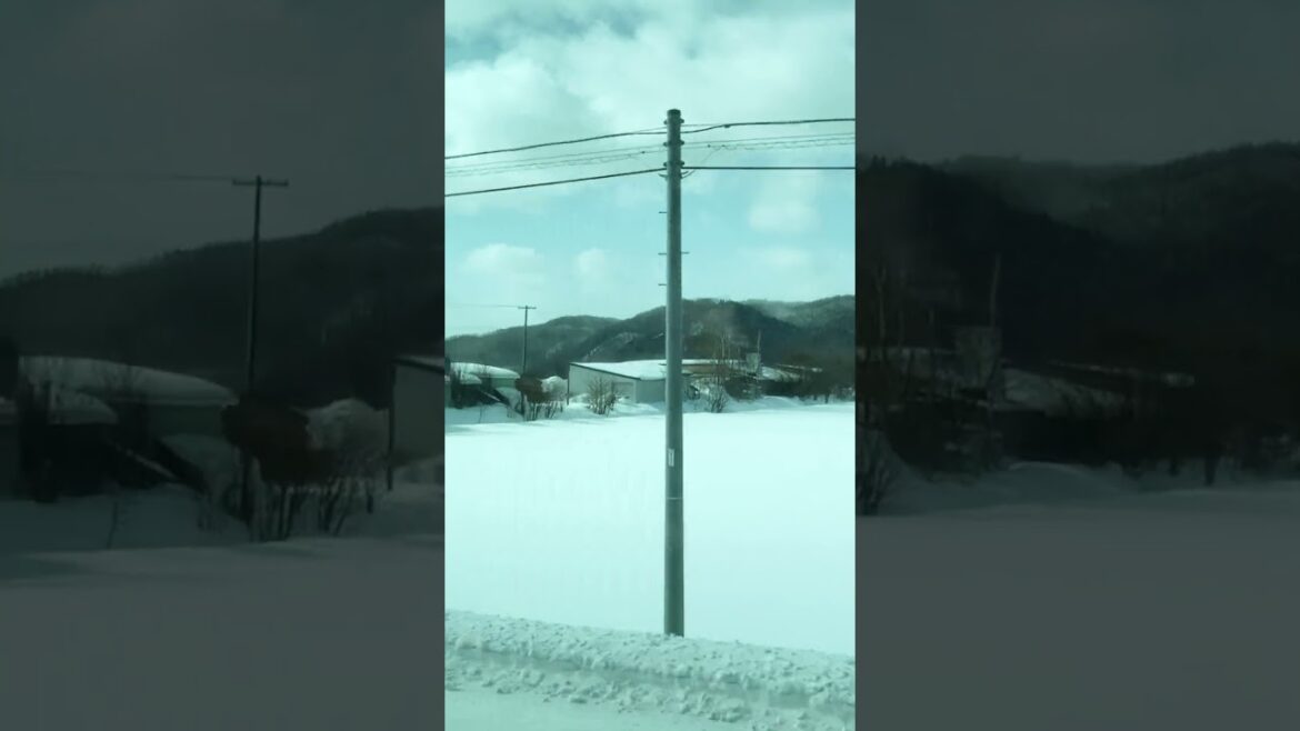 Voy a Akan en autobús 5: Tsubetsu, Hokkaido #shorts