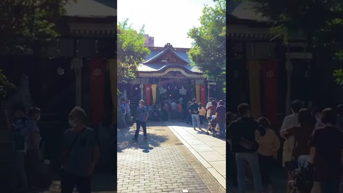 Japan Trip Torigoe Shrine Tokyo