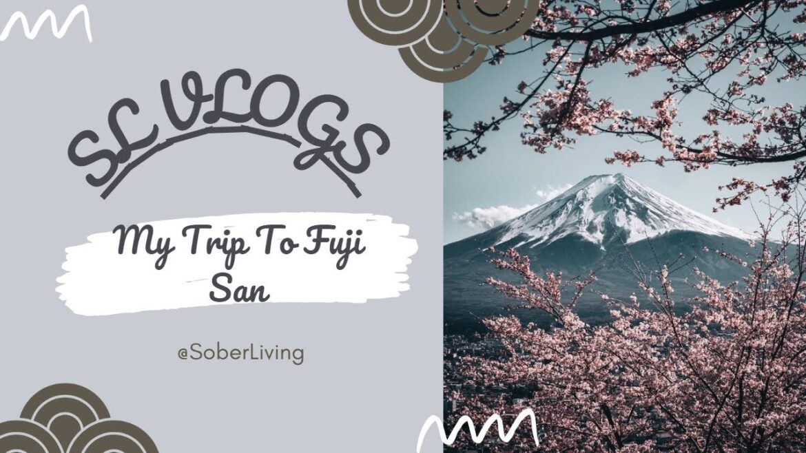 My Trip To Mount Fuji + Rare Lego Store! | SL VLOGS