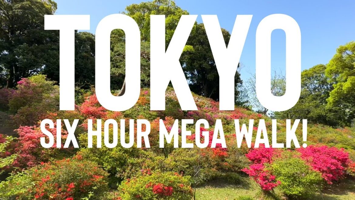 Tokyo Japan Virtual Walk - SIX HOURS of Tokyo Streets