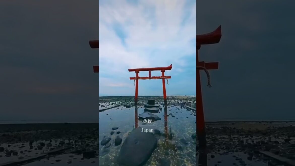 Thatโs your sign travel to Japan this year ๐๐ฏ๐ต #short #shorts #travel #vacation #monde #shortsfeed Thatโs your sign travel to Japan this year ๐๐ฏ๐ต #short #shorts #travel #vacation #monde #shortsfeed