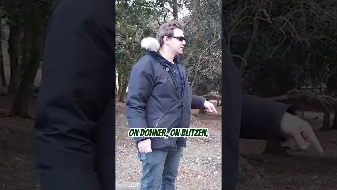 Street Deer In Japan Street Deer In Japan