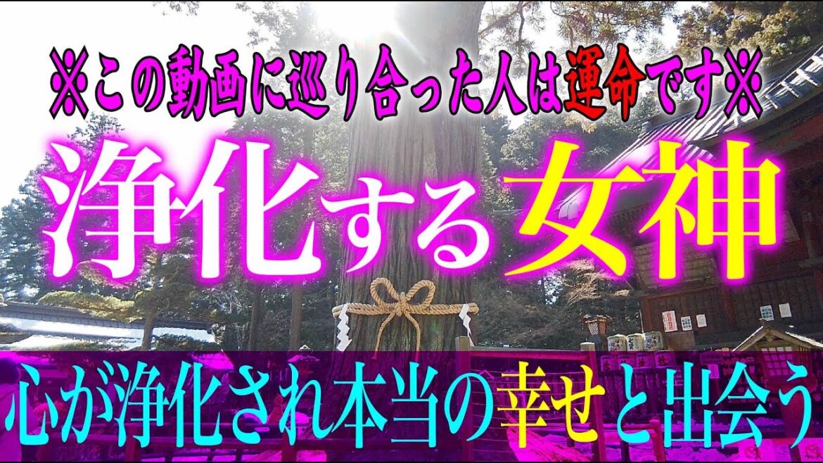 【富士山の女神様に会える】この動画が表示されたらすぐに再生して下さい。今の悪運や心の迷いが浄化され迷いが無くなり、進むべき道がハッキリと見えてきます【遠隔参拝】北口本宮浅間神社⛩ 【富士山の女神様に会える】この動画が表示されたらすぐに再生して下さい。今の悪運や心の迷いが浄化され迷いが無くなり、進むべき道がハッキリと見えてきます【遠隔参拝】北口本宮浅間神社⛩