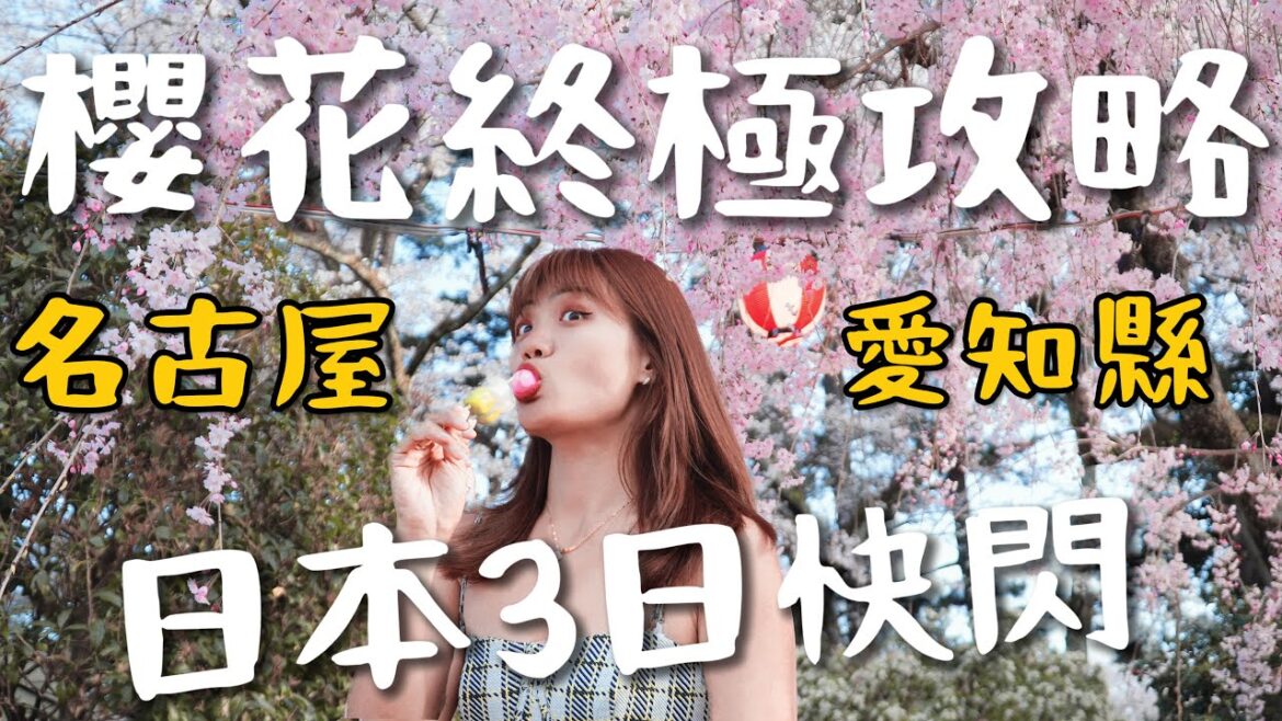 日本終集!快閃愛知縣 11 個攻略!極品百萬級飯店?獨家抹茶蓋飯!鰻魚要三吃呀! 日本終集!快閃愛知縣 11 個攻略!極品百萬級飯店?獨家抹茶蓋飯!鰻魚要三吃呀!