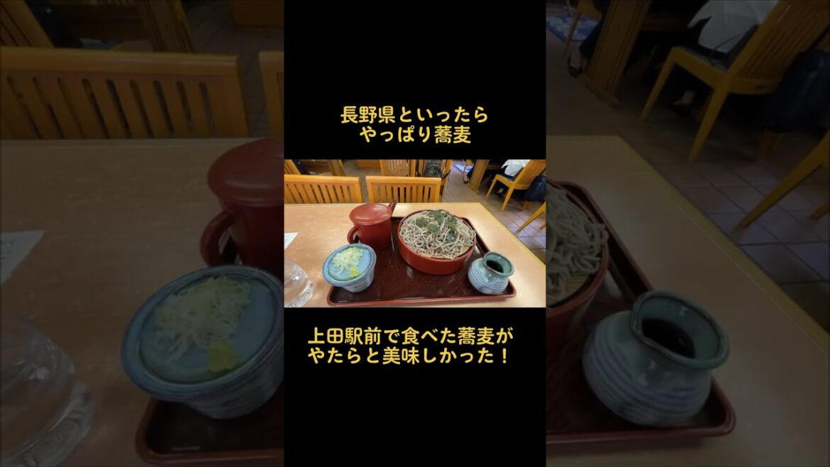 【日帰り長野旅行】長野といったらやっぱり蕎麦！上田駅前で食べた蕎麦がたまらなく美味しかった solo trip to NAGANO#長野　#旅行　#観光