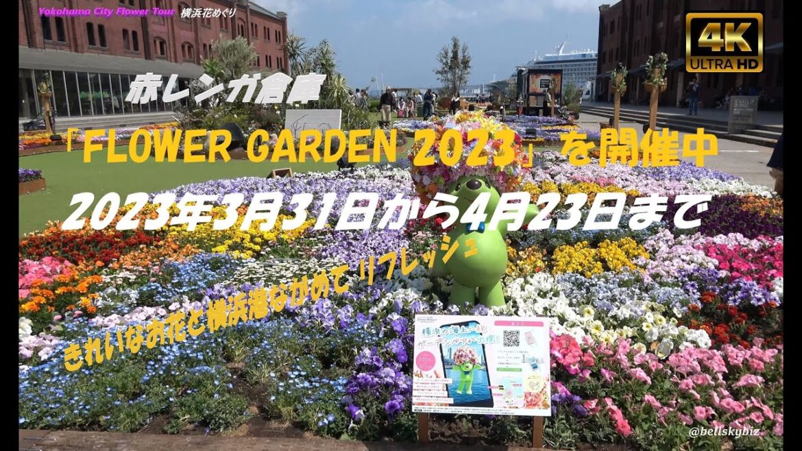 Yokohama City Flower Tour 横浜花めぐり 赤レンガ倉庫「FLOWER GARDEN 2023」を開催中へ行って来ました。（曲：横浜のおんな）@bellskybiz