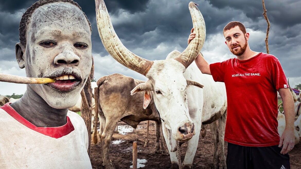 This Tribe Prefers Cows Over Humans (South Sudan)