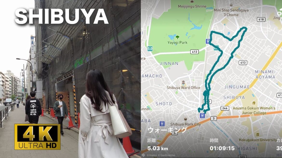 【4K】渋谷、裏原宿、竹下通りを歩く!! |Walking Tour, SHIBUYA – URA HARA. 【4K】渋谷、裏原宿、竹下通りを歩く!! |Walking Tour, SHIBUYA - URA HARA.