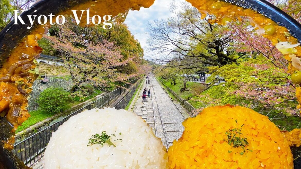 Nanzenji Temple - Keage Incline and Spice Curry 4K Kyoto Japan Vlog#3