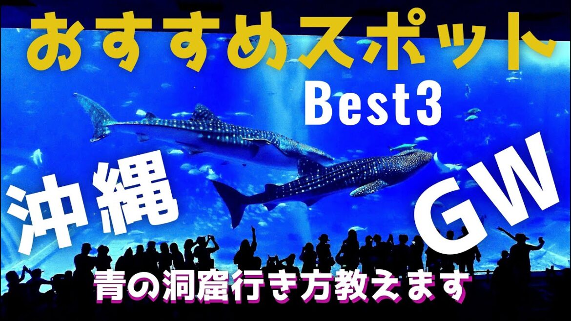 沖縄「青の洞窟」へ自力で行く方法/ゴールデンウィークに沖縄に行く方必見!美ら海水族館の大水槽が最も透明で綺麗に見れるベストタイムの紹介/沖縄旅行・観光 #沖縄 #青の洞窟 #美ら海水族館 沖縄「青の洞窟」へ自力で行く方法/ゴールデンウィークに沖縄に行く方必見!美ら海水族館の大水槽が最も透明で綺麗に見れるベストタイムの紹介/沖縄旅行・観光 #沖縄 #青の洞窟 #美ら海水族館