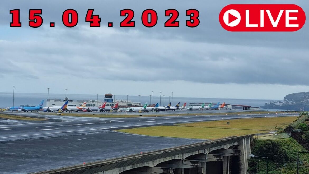 LIVE Action from Madeira Airport 15.04.2023