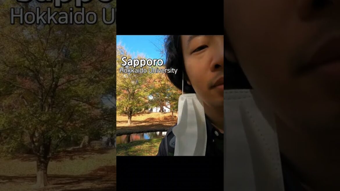 一人で踊っている私の姿を見てください