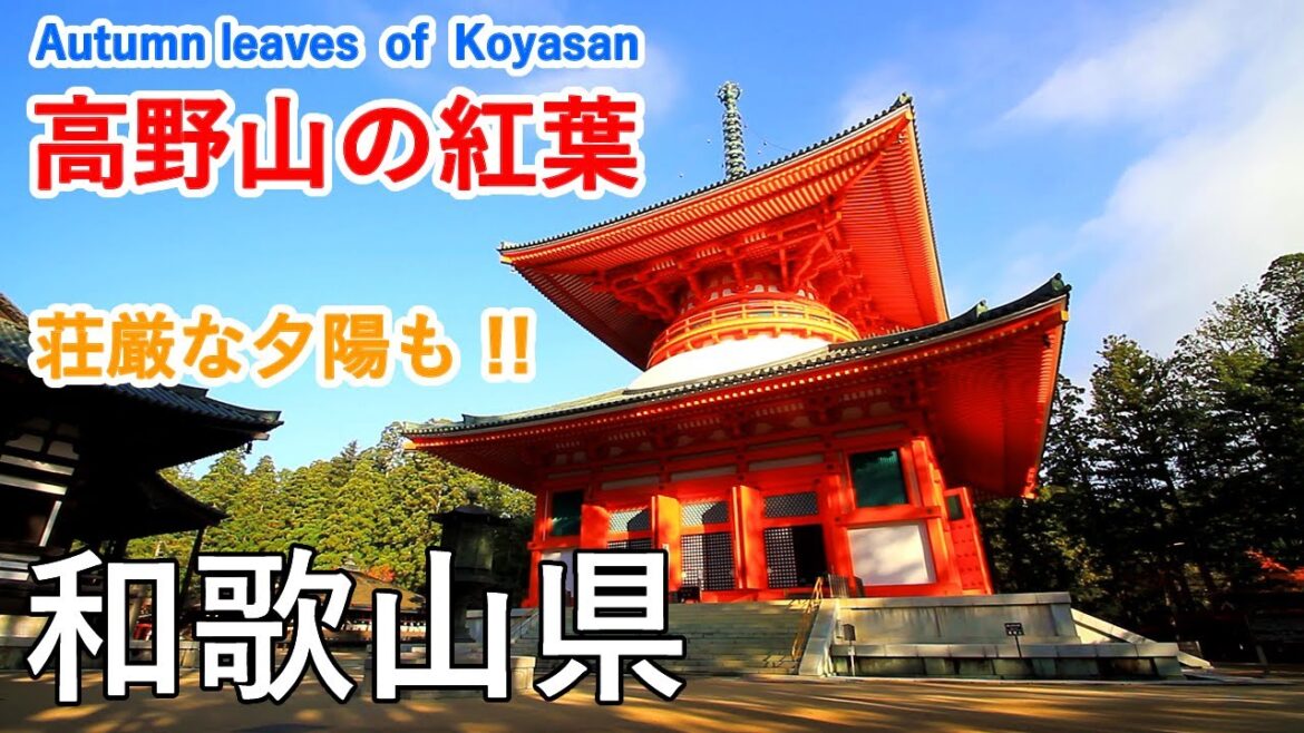 和歌山県 高野山の紅葉(壇上伽藍・根本大塔・大門の夕陽) / Autumn leaves of Koyasan Sanctuary ( Wakayama, Japan )【日本の紅葉絶景!】 和歌山県 高野山の紅葉(壇上伽藍・根本大塔・大門の夕陽) / Autumn leaves of Koyasan Sanctuary ( Wakayama, Japan )【日本の紅葉絶景!】