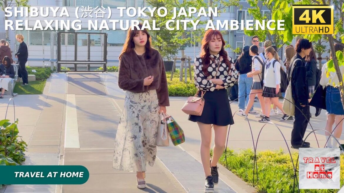 4k hdr japan travel | Walk in Shibuya (渋谷) Tokyo japan | Relaxing Natural City ambience 4k hdr japan travel | Walk in Shibuya (渋谷) Tokyo japan | Relaxing Natural City ambience