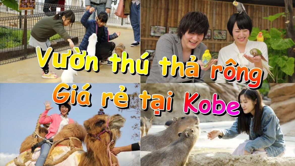 Sở thú thả rông tha hồ sờ mó ở Kobe Nhật Bản Sở thú thả rông tha hồ sờ mó ở Kobe Nhật Bản